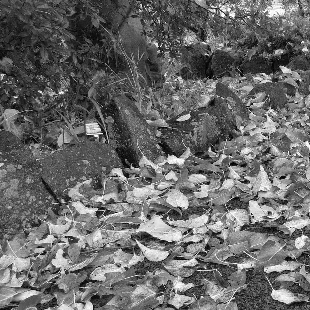 Meet your Posher, Jooshua